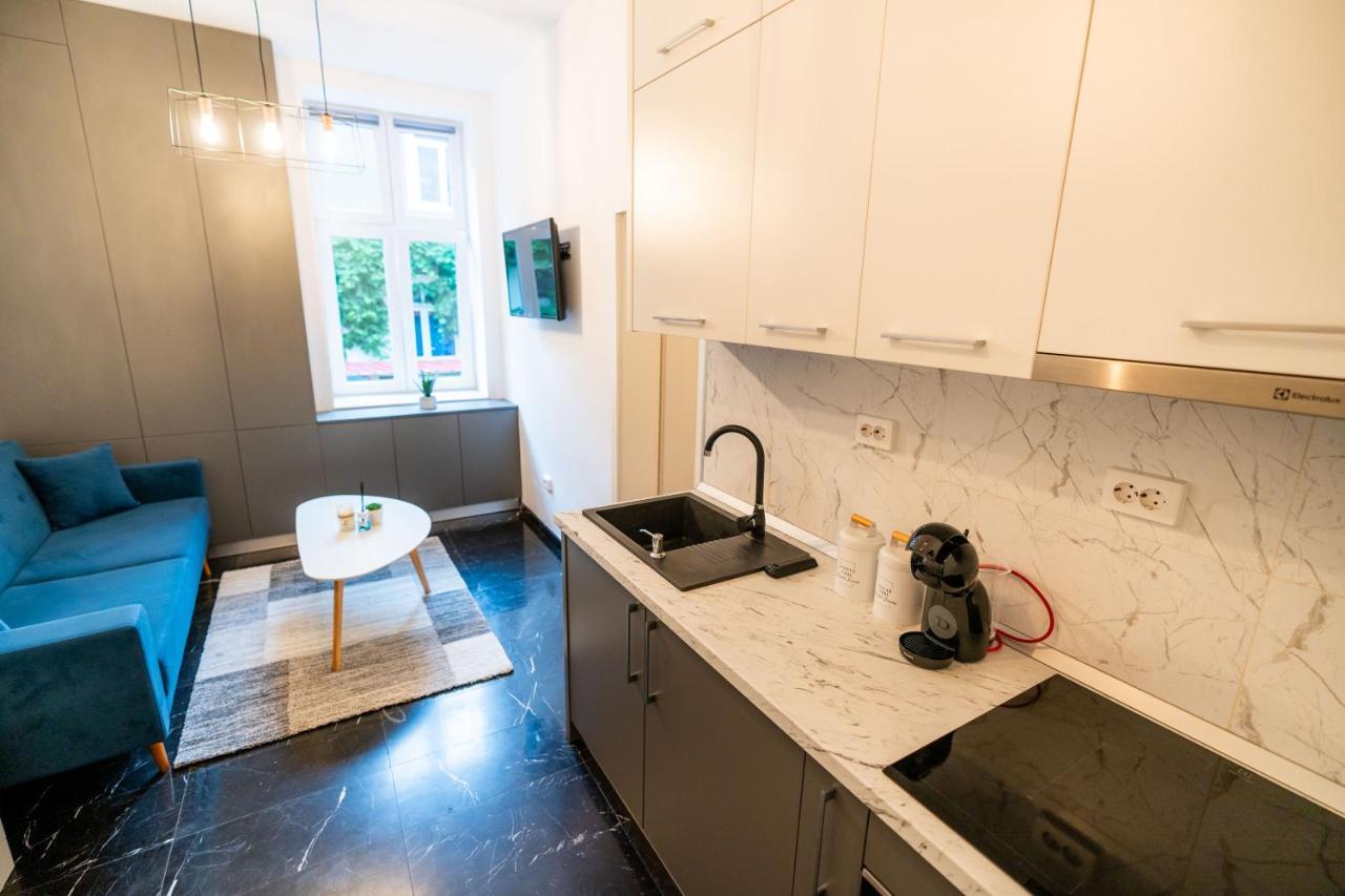 Guest Studio Apartment Brasov Luaran gambar